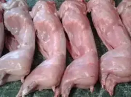 Зображення для оголошення Продажа свежего мяса кролика