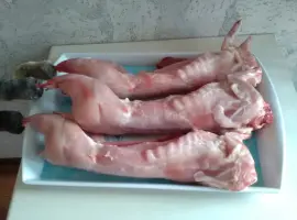 Зображення для оголошення М'ясо домашнього кролика.