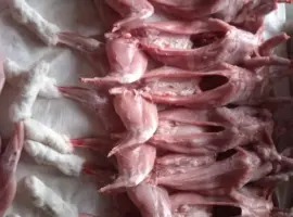Зображення для оголошення Продаж мяса кролика 1,5–1,7 кг молодий забій