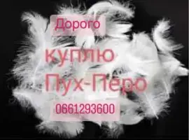 Зображення для оголошення Покупка пуха и пера свежее и б/у в любых объемах