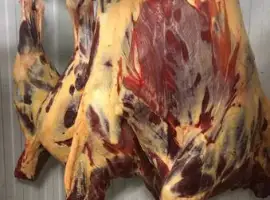 Зображення для оголошення Конина полутуши и мякоть