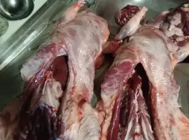 Зображення для оголошення Продам мясо нутрии молодое, натуральное