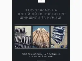 Зображення для оголошення Куплю хутро куниці на постійній основі