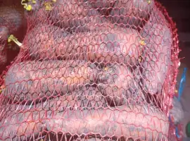 Зображення для оголошення Морква на переробку та квашена капуста