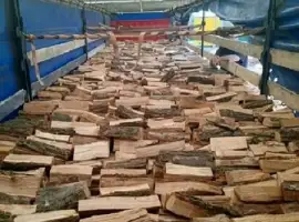 Зображення для оголошення Продам рубані соснові дрова