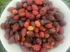 Зображення для оголошення Шипшина Шиповник Продам Якісний