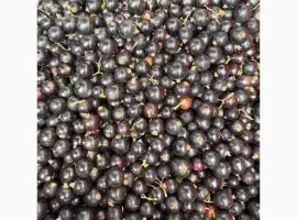 Зображення для оголошення Продам морожену чорну смородину