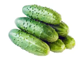 Зображення для оголошення Купим огурец