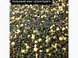 Зображення для оголошення Бджолиний пилок якісний
