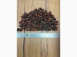 Зображення для оголошення Продам сушену шипшину