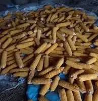 Зображення для оголошення Продам кукурудзу в качанах