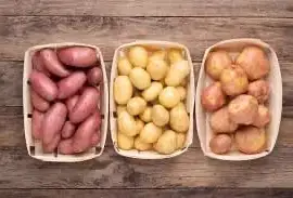 Зображення для оголошення Семенной картофель Ривьера , Мирослава, Гранада