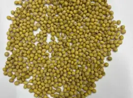 Зображення для оголошення Продам посівний матеріал сої, Насіння сої,