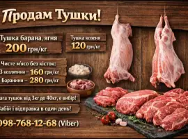 Зображення для оголошення Тушка, мясо, баранина, ягня, козлятина, козеня.