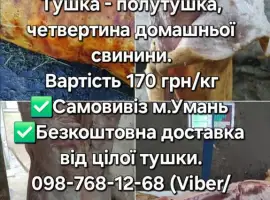 Зображення для оголошення Тушка, свинини, баранини,ягнятини, курятини