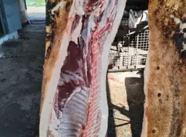 Зображення для оголошення Свинина домашня вагова тушка