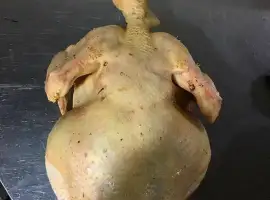 Зображення для оголошення Мясо курицы, тушки бройлеров, утки, цыплята опт