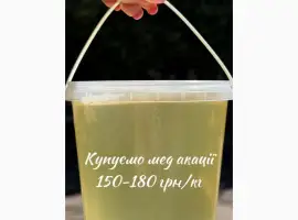 Зображення для оголошення Купуємо мед Акації-2025