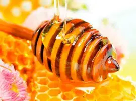 Зображення для оголошення Купуємо Мед ЛИПИ