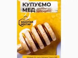 Зображення для оголошення Купуємо Липовий мед