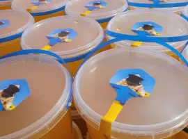 Зображення для оголошення Мед 2025 різнотравʼя з соняшником