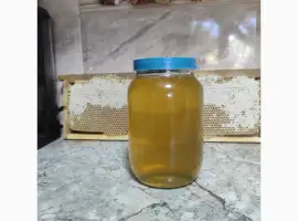 Зображення для оголошення Куплю мед соняшника