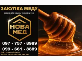 Зображення для оголошення Закуповуємо мед із соняшника по Дніпропетровській та СУСІДНІХ обл