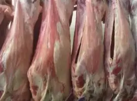 Зображення для оголошення Продам Баранину!!!