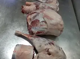 Зображення для оголошення Свіже м'ясо молочного козеня, баранина