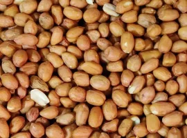 Зображення для оголошення Продається арахіс