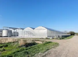 Зображення для оголошення Сільськогосподарський комплекс - Птахофабрика та теплиця