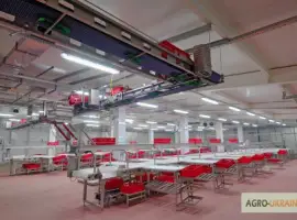 Зображення для оголошення Линия обвалки КРС и свиней. Цех обвалки мяса