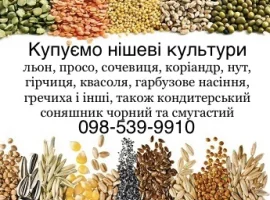 Зображення для оголошення Купуємо кондитерський соняшник і всі нішеві
