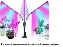 Зображення для оголошення Фитолампа светодиодная для растений