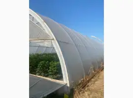 Зображення для оголошення Теплична плівка Vatan Plastik 150 мкм - ІДЕАЛЬНИЙ ЗАХИСТ ВАШОГО ВРОЖАЮ