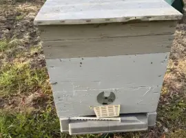 Зображення для оголошення Продам вулики б/в , готові до використання