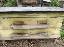 Зображення для оголошення Продаються вулики б/в
