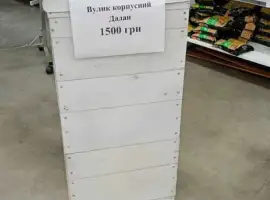 Зображення для оголошення Вулики корпусні (дадан) б/в та нові