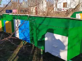 Зображення для оголошення Продам вулики б/у в хорошому стані з надставками