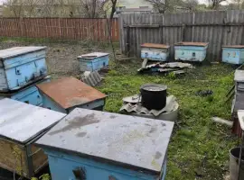 Зображення для оголошення Продам вулики-лежаки (13 шт.), б/в