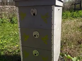 Зображення для оголошення 10ти рамочний Вулик Рута дерево б/у. Улей Рута