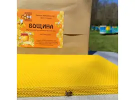 Зображення для оголошення Вощина Дадан «Дубовик» 5кг