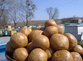 Зображення для оголошення Продам прополіс