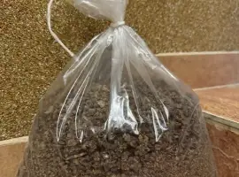 Зображення для оголошення Продам прополіс бджолиний