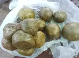 Зображення для оголошення Прополіс бджолиний, прополис пчелиный, bee propol