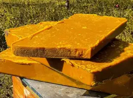 Зображення для оголошення Віск\воск мерв'яний власного виробництва