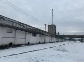 Зображення для оголошення Продается элеваторный комплекс. Цена договорная