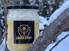 Зображення для оголошення Мед соняшниковий домашній