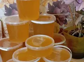 Зображення для оголошення Мед Соняшниковий