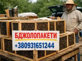 Зображення для оголошення Продам бджолопакети. Карніка. 100 шт+
